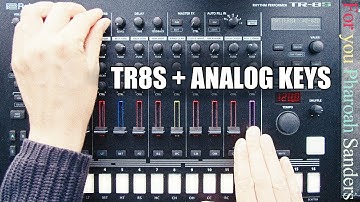 TR8S + Analog Keys House (Pharoah Sanders sample)