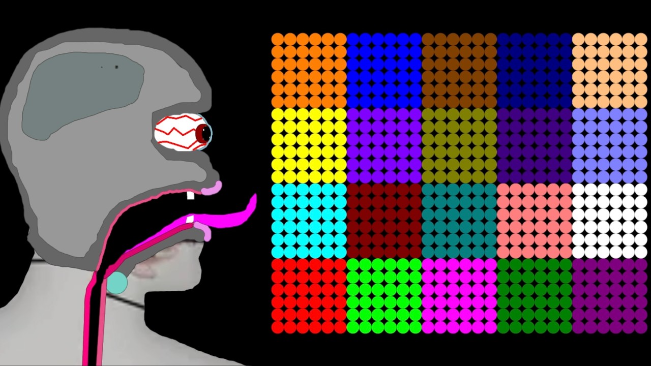 The Crazy Man 23 Legs Eliminations Marble Race In Algodoo