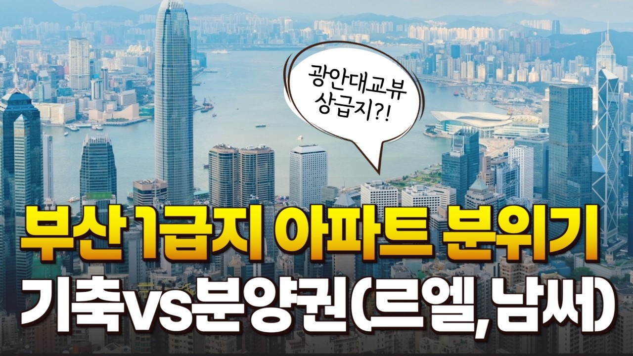 26년 부산 부동산 핫한 곳은? 상급지 vs 하이앤드 분양권ㅣ강남콩😎