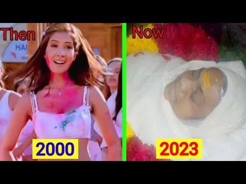 Mohabbatein 2000 Movie Star Cast | Shocking Transformation | Then And Now 2023