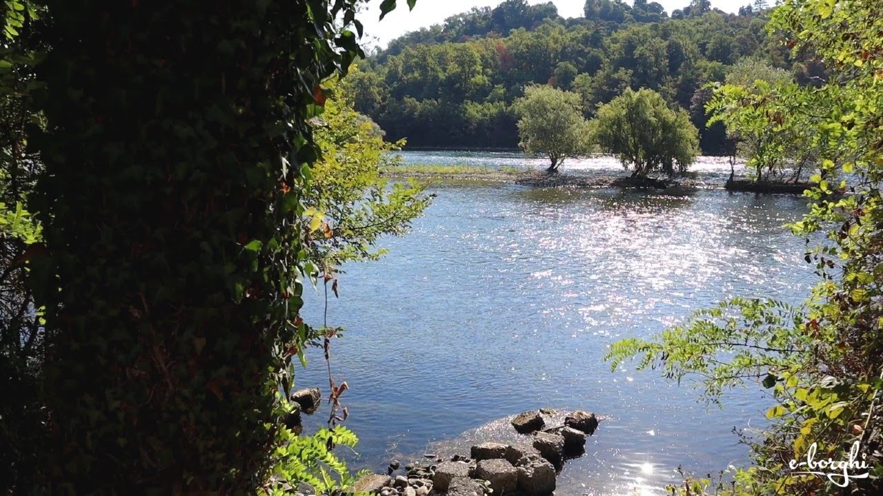 Aree protette del Ticino e Lago Maggiore: salvaguardia del patrimonio naturalistico