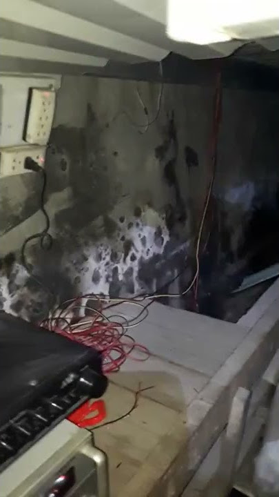 SUARA INAP BURUNG WALET TERBAIK DI JAMIN LANGSUNG NGINAP