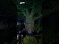 Sprookjesboom 🌳 at Night 🌜😴 in Sprookjesboom at Efteling 🍄