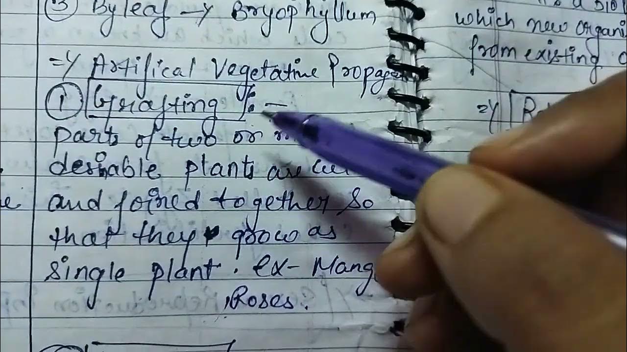 VEGETATIVE PROPAGATION class10 Science Chapter8 HOW DO