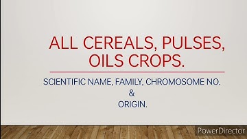 🇮🇳All Cereals, pulses, oils crops with scientific name, family & chromosome no. study with you 🤟🇮🇳👍