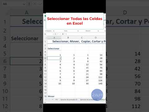 Seleccionar Todas las