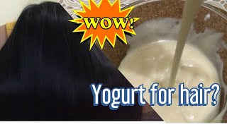 Yogurt hair mask for super Lambot and shinny hair