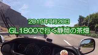 20150720 GL1800で行く静岡の茶畑