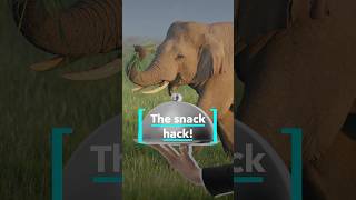 A snack trail for elephants