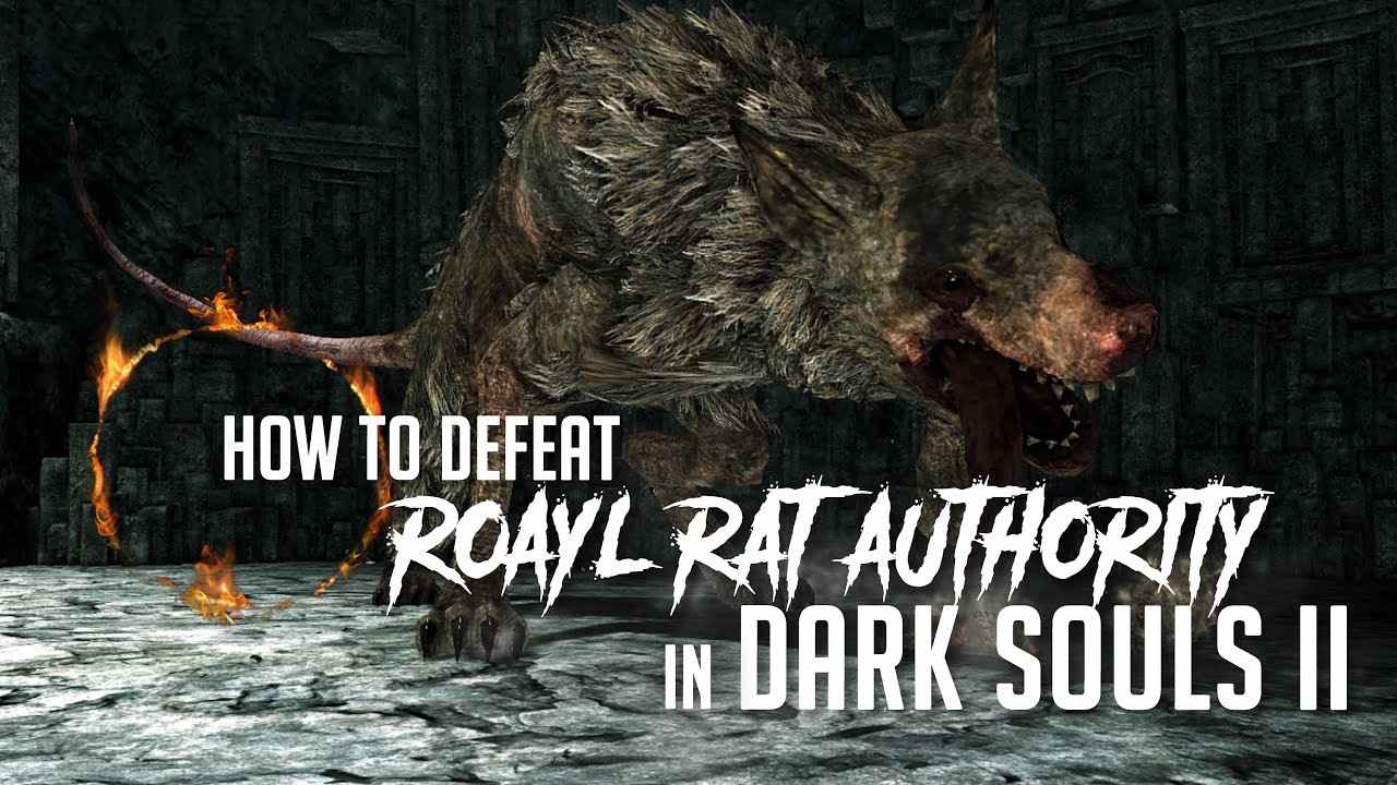 Dark Souls 2 - How to Beat the Royal Rat Authority Boss 