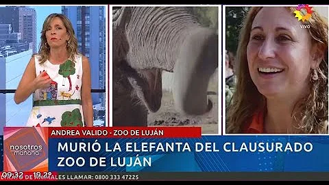 Fuerte cruce entre la empleada del zoo con Sandra ...