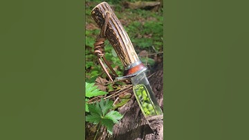 Hunting Knife with Red Stag Antler handle #shorts #knifemaker #knives #knife #huntingknife