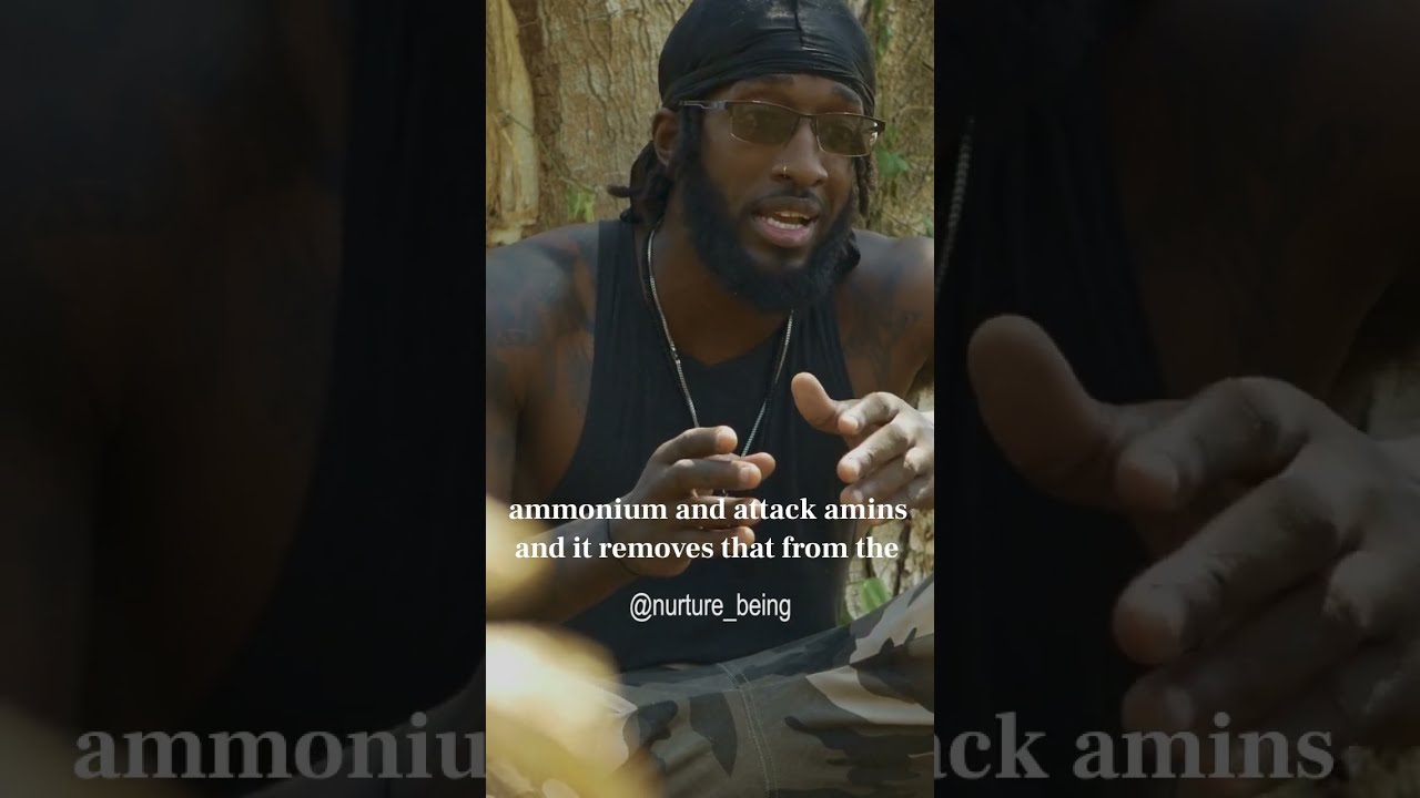 Unlocking The Healing Power Of This Jamaican Plant As Revealed By Ancestors