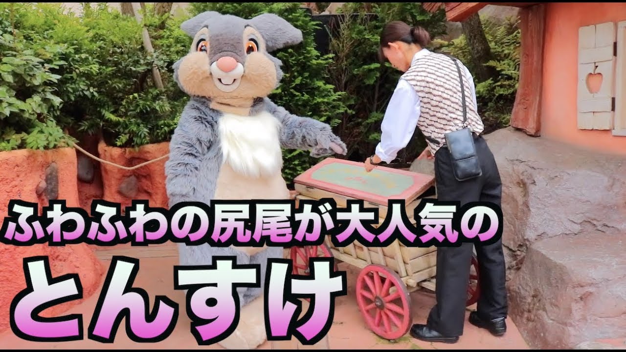尻尾が大人気のとんすけ ゲスト すっごいふわふわ ディズニーランド Youtube 尻尾が大人気のとんすけ ゲスト すっごいふわふわ ディズニーランド Youtube