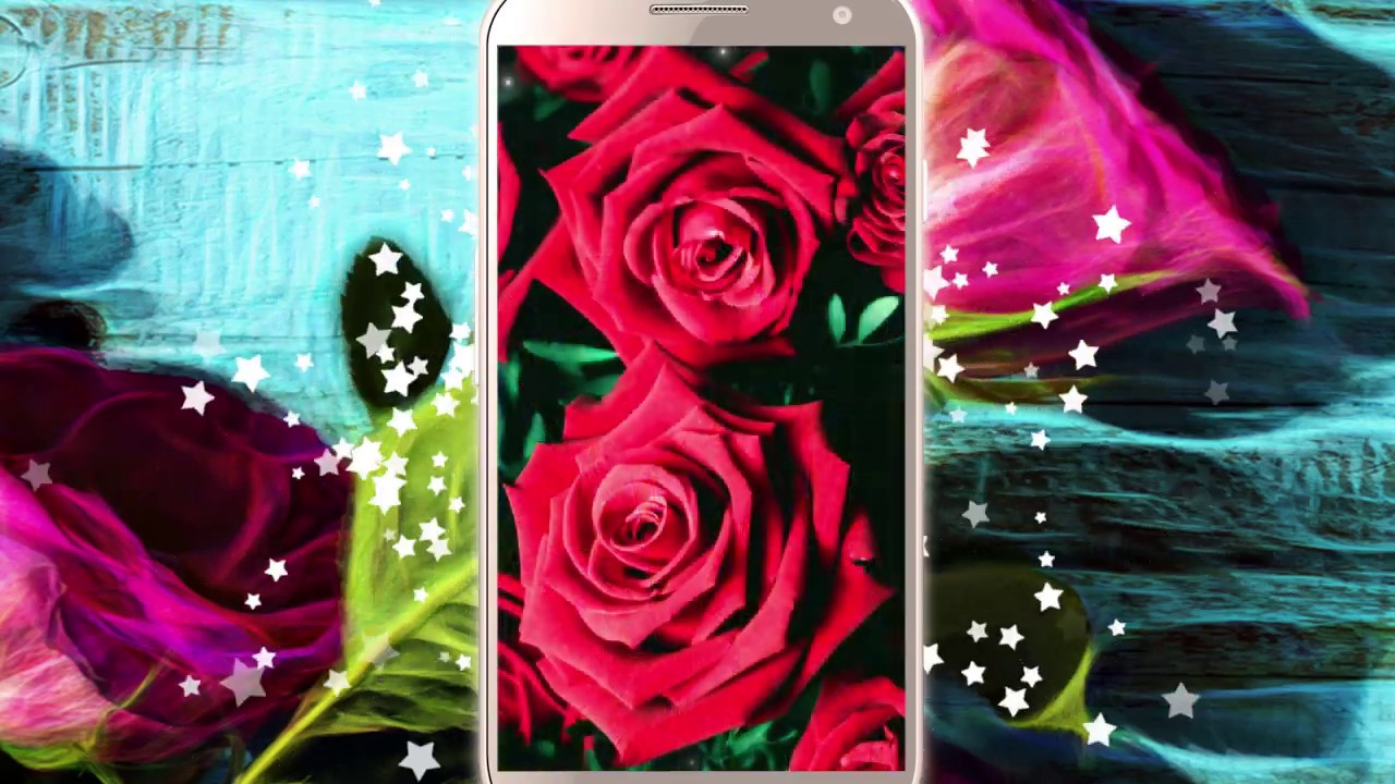 Rose live wallpaper YouTube