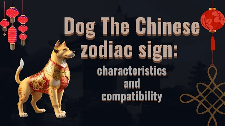 Dog 🐶 the chinese zodiac sign🌒🪧: characteristics and compatibility - DayDayNews