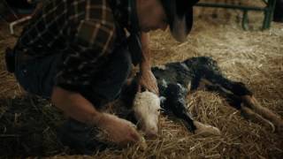 Out Here - Cinch Commercial