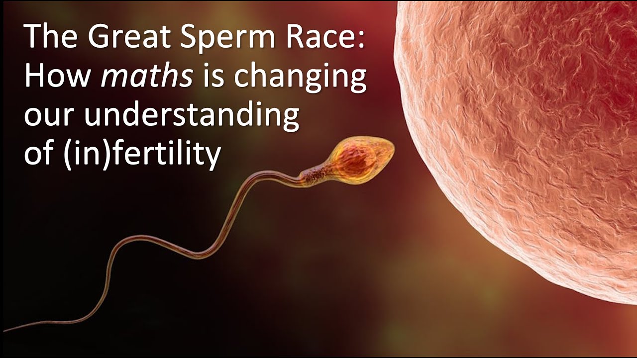 the great sperm race essay