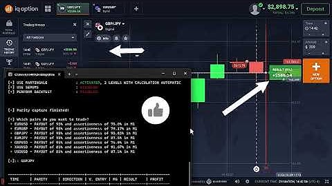 Top Auto Trading Software 2024: IQ Option Bot Review