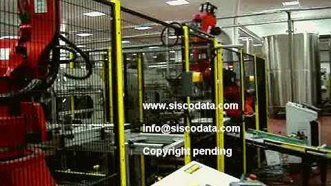ROBOT Palletizer + BOX filling plant factory automation -Automazione bottiglie