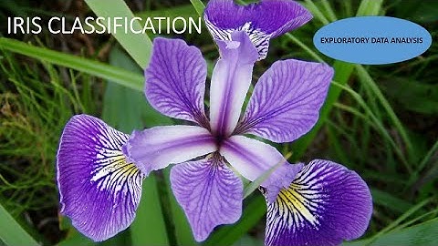 Exploratory Data Analysis in 15 minutes| Machine Learning | ML Basics | Data Science