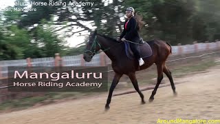Mangaluru Horse Riding Academy - Kadri, Mangalore screenshot 4
