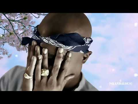 2Pac Never Did Cry 2022