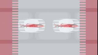 Sardine Productions Teletoon Original Production 2017