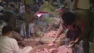 Life in Kolkata: Exploring a bustling vegetable market
