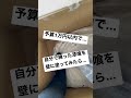 女一人でグレーの漆喰壁塗ってみたら...