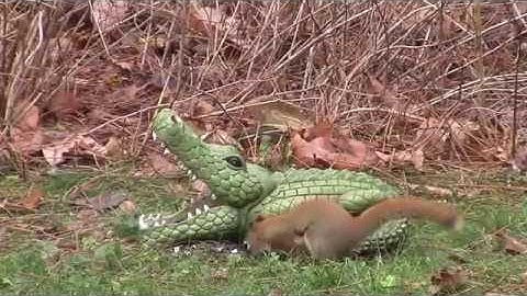 Audio Visual Catnip- November 2016