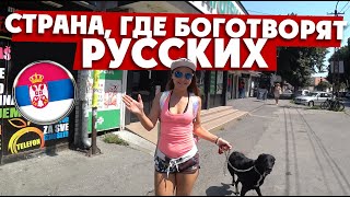 БЕЛГРАД: здесь боготворят русских и Путина БЕЛГРАД: здесь боготворят русских и Путина