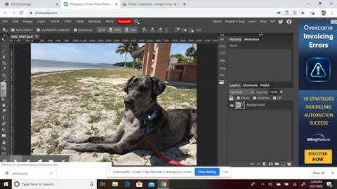 Fun with filters part 1: editing image and canvas size in Photopea