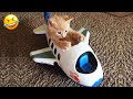 New Funny Cat and Dog Videos 😹🐶 Funniest Animals 🤣 Part 3