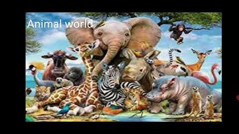 std 5th, Evs 2, chapter 3, Life on Earth,  class 5