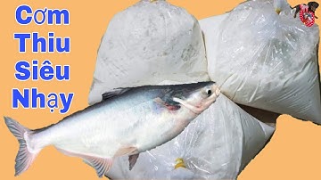 Cách Làm Mồi Cơm Dừa Câu Cá TRA Hồ Dịch Vụ Bao Lên Cá - Fishing