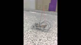 Mousetrap Car Forwards and Backwards