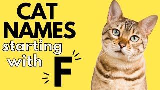 100+ Cat Names Starting With 'F' | Boy and Girl Cat Names | F Cat Names by Dog and Cat Names 413 views 1 year ago 7 minutes, 35 seconds