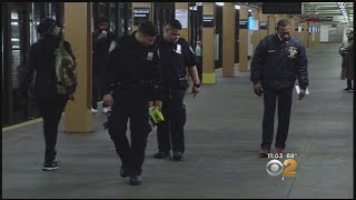 Woman Slashed In The Face By Subway Robber
