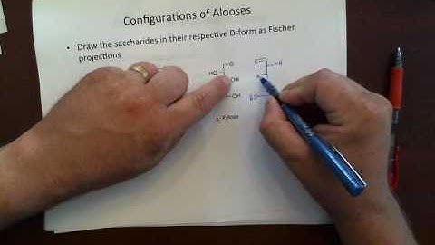 Organic Chemistry I - Chapter 22 - Solomon