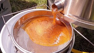 INSIDE THE APIARY | How to Harvest  90 pounds of PURE GOLD Honey