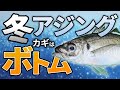【冬アジング2023】どうすれば冬でもアジを釣ることができるのか？