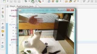 matereal/Java/Step.1 Run a camera service