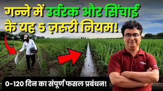 गन्ने की खेती में पानी, उर्वरक और मिट्टी चढ़ाने का सही समय | Sugarcane farming | AgroStar screenshot 5