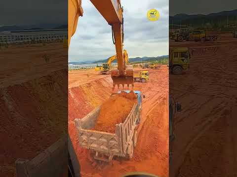 Excavators Load Soil Onto Trucks