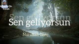 şair Nurullah Genç/ sen geliyorsun..sen tüm sokaklardan geçmişsin meger ....yorum Mustafa çin Resimi