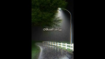 الم يعلمون ان الله هو يقبل التوبة #القارئ #ياسر_الدوسري #قصص_دينية #المصحف #قرآن #الرحمن