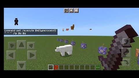 Minecraft bedrock No entity movement/faling/No AI