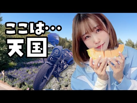 めりのちゃんねる - YouTube