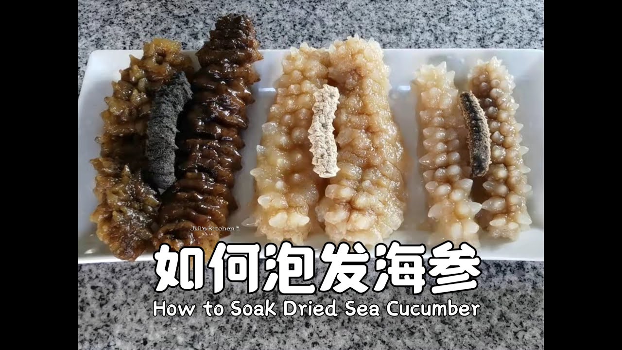 【美食VLOG】如何泡发海参，新年做盆菜必学技能。无需技术，只要清水就能发出又大又干净的海参 How to Soak Dried Sea